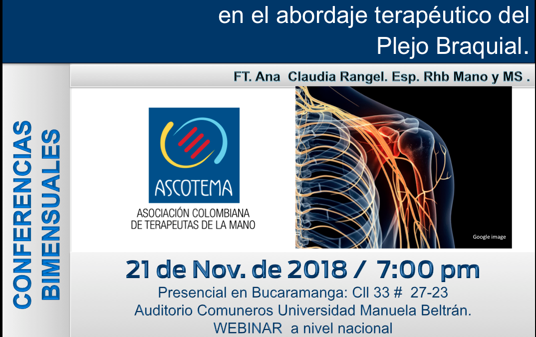 Protegido: Experiencia Clínica y evidencia científica en el abordaje terapéutico del plejo braquial